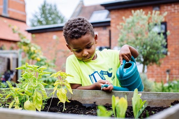 A boy watering a garden